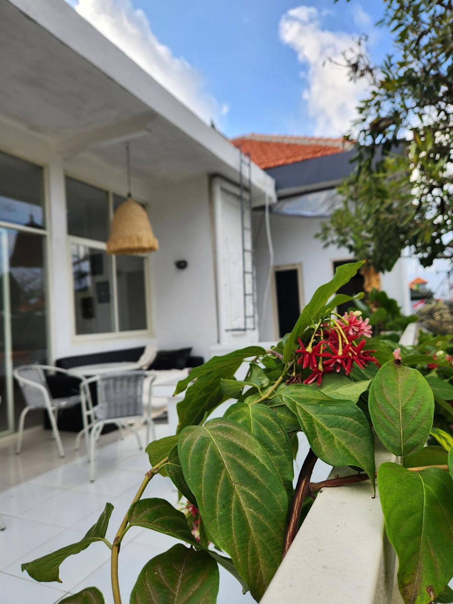 Capricorn Villa เซมินยัค ภายนอก รูปภาพ
